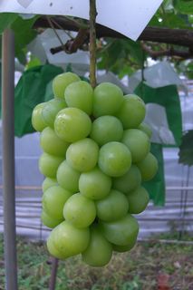 100442_01.jpg