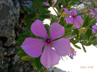 100416_02.jpg