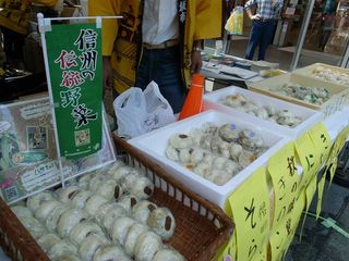 100449_01.jpg
