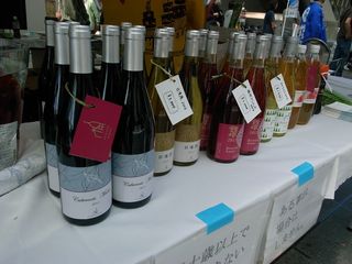 100449_13.jpg