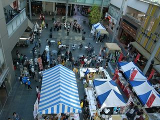 100449_16.jpg