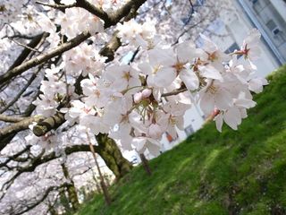 100523_04.jpg