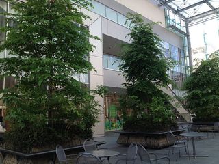 100527_01.jpg
