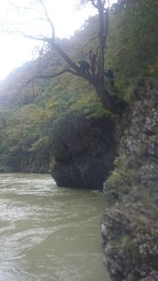 100669_13.jpg