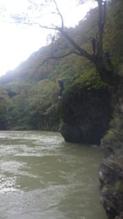 100669_15.jpg