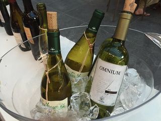 100762_05.jpg
